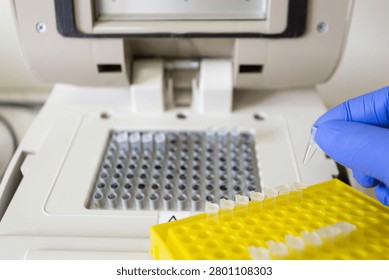 Small, heat-resistant plastic Eppendorf tubes for PCR testing on a thermal cycler. A scientist demonstrates which Eppendorf tubes are used for PCR.