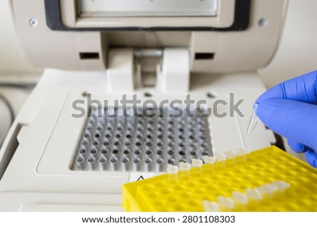 Small, heat-resistant plastic Eppendorf tubes for PCR testing on a thermal cycler. A scientist demonstrates which Eppendorf tubes are used for PCR.