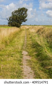 Small hiking path between meadows on the isle of Texel.