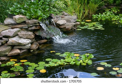 Small Homemade Pond