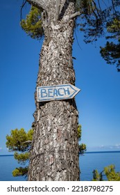 A Small Homemade Sign Indicating The Direction To The Beach. 
Old Wooden Sign On An Old Tree By The Sea. 
