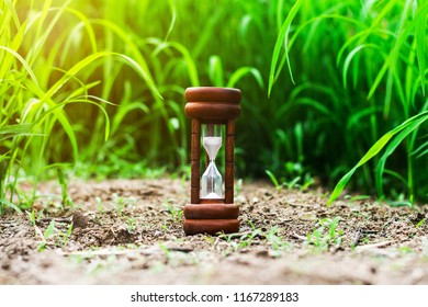 567 Hourglass Grass Images, Stock Photos & Vectors | Shutterstock