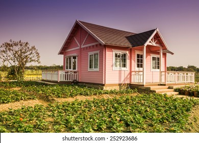 Small House In A Garden