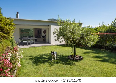 Small House For A Happy Family Living In Switzerland. The Garden Is Green