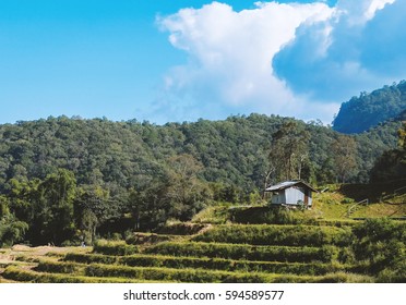 Small house in the middle of the field surrounded by mountains,beautiful and relaxation