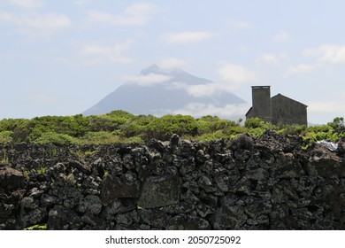 Small House On A Hill With Mount Pico In The Background