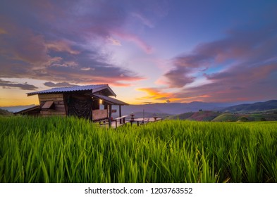 Small house and rice terraces field at pabongpaing village rice terraces Mae-Jam Chiang mai, Thailand - Shutterstock ID 1203763552