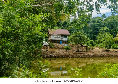A small house is surrounded by trees and a body of water. The house is old and has a rustic appearance. The scene has a peaceful and serene atmosphere