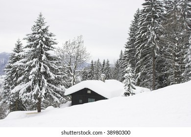 Small House In Winter