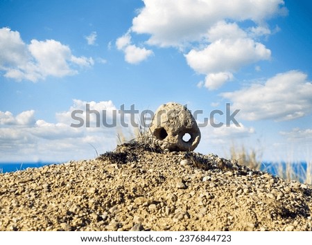 small human skull on the desert sand