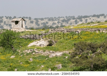 small hut in the field