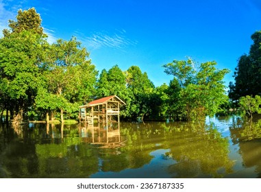 A small hut in the middle of the water, a blue sky, water flooding the rice fields, light reflecting on the water, a clear sky - Powered by Shutterstock