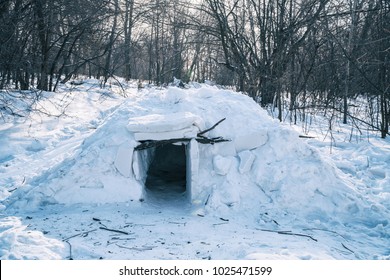 A small igloo in the forest among the trees. Snow hut
