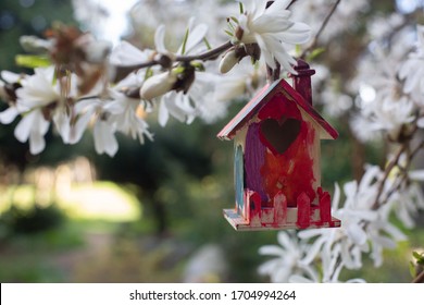 A small and imperfectly painted wooden birdhouse hangs from a tree branch surrounded by white flowers. 