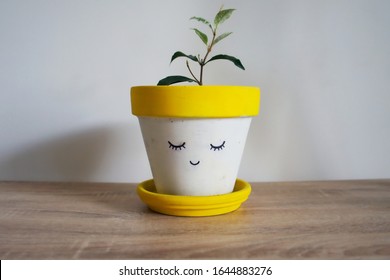 A Small Indoor Pot Plant Grows In A Hand Painted Smiling Pot Plant. Cute Home Decoration. Yellow Plant Pot With Succulent Growing Inside It. Minimalistic Modern Home Plant Decor 