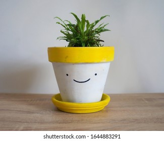 A Small Indoor Pot Plant Grows In A Hand Painted Smiling Pot Plant. Cute Home Decoration. Yellow Plant Pot With Succulent Growing Inside It. Minimalistic Modern Home Plant Decor 