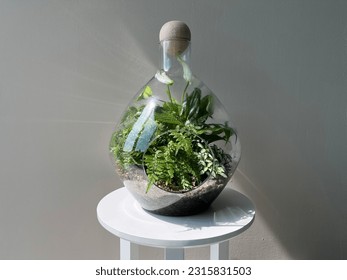 Small indoor terrarium - horizontal