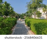 Small Interlock Path Between Landscaping Area. Green And Lush Landscaping Area With Carpet Grass And Trees Ііке Раlm Washingtonia
Houses Or Villa
