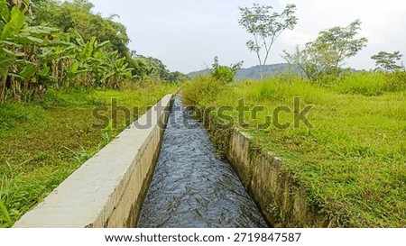 A small irrigation path between rice fields and fields in the Village. selective focus 