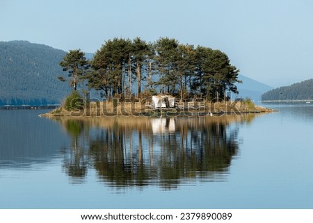 A small island in the middle of a big reservoir, Dospat, Bulgaria.
