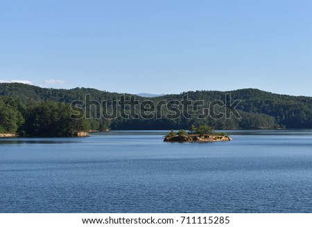 Small island on beautiful Lake Ocoee 
