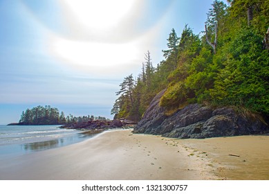 Small island with pine trees in Long Beach, Tofino, a popular destination in Vancouver Island, Canada