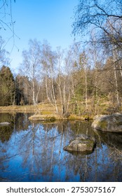 small island in a pond with trees in springtime