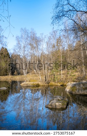 small island in a pond with trees in springtime