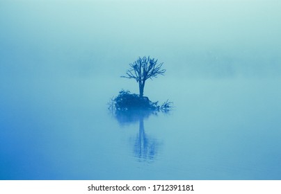 Small island stands on a tranquil lake surrounded by early morning mist. Several birds sleep in the branches of a single leafless tree.