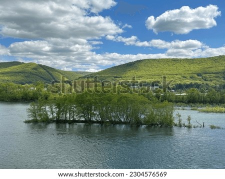 Small island of trees in the West Branch of the Susquehanna River in Williamsport, Pennsylvania.  The Allegheny Mountains loom in the background.  Taken from the scenic river walk.
