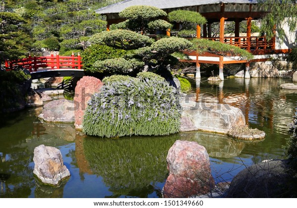 Small Japanese Garden Idyllic Silent Fragment Stock Photo Edit Now