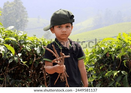 A small kid is collecting the wooden threads as an activities on the fields of the tea gander. He is holding dry wooden sticks to be used for playing. Child on the vacation at Munnar, Kerala, India