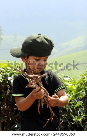 A small kid is collecting the wooden threads as an activities on the fields of the tea gander. He is holding dry wooden sticks to be used for playing. Child on the vacation at Munnar, Kerala, India