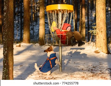 Small Kid Playing With Plastic Disk And Pet Dog At Disc Golf Park