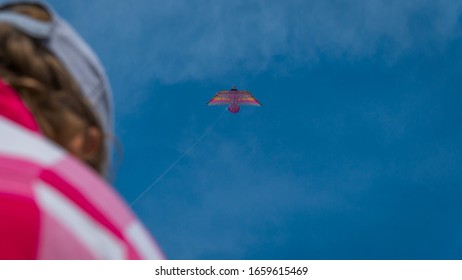 A small kite in the sky.
 
