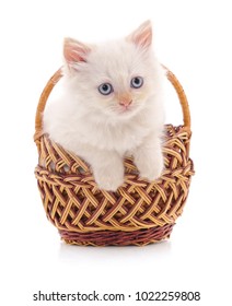 Small kitten in a basket isolated on a white background.