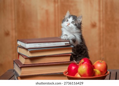 A small kitten is climbing on a stack of books in a warm room. A bowl of red apples sits nearby. The kitten looks up with interest, exploring its surroundings.