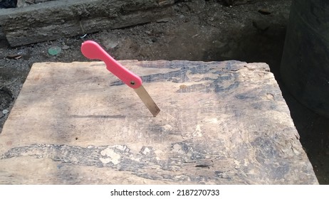 Small Knife Stuck In Wood