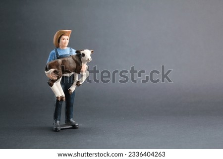 a small labor cattle farmer carrying a calf. cattle breeder concept. agricultural concept. cattle farm