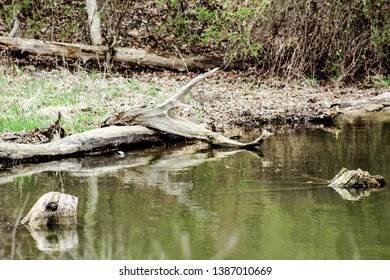 Small Lake In Coles County Illinois. 