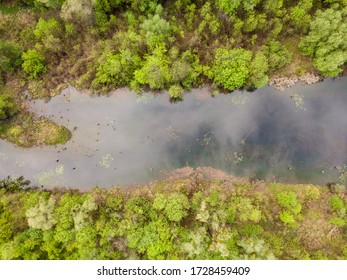 A small lake in a deciduous forest. Clouds are reflected in the water. Aerial drone view.