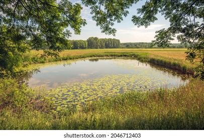 344,479 Small lake Images, Stock Photos & Vectors | Shutterstock
