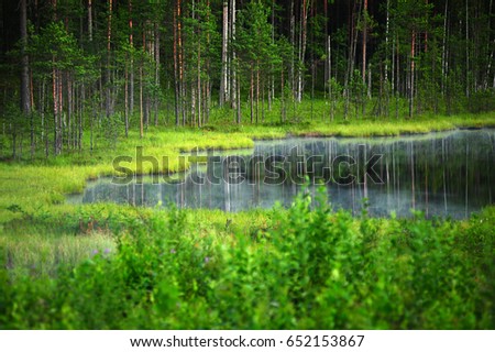 Small lake in the forest with reflection and wild water lily, Norway