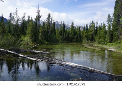 Small Lake In Laurance S. Rockefeller Preserve - Grand Teton National Park - Wyoming, USA