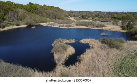 Small Lake In North Zealand, Denmark
