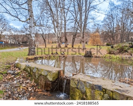 a small lake in a park where animals like ducks, fish, geese live. Czech. Prague