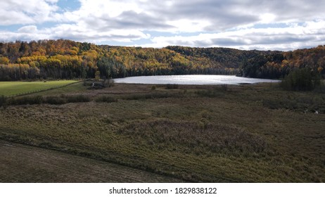 Small lake surrounded by fields and dense autumn forest