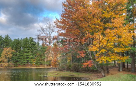 Small lake in upper sullivan county New York in autumn