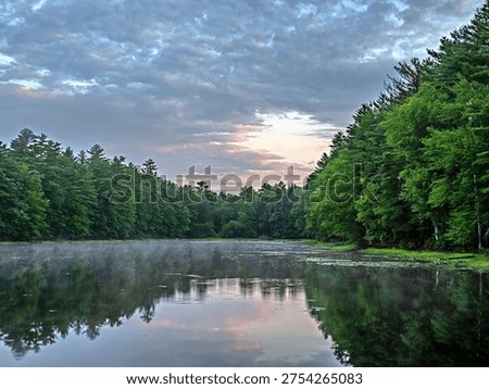 Small lake in upper sullivan county New York in summer