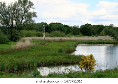 Small Lake In  The Valley Of The River Nete, Vriesel, Belgium